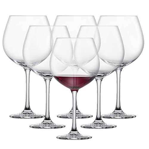 Rotweinglas Test: SCHOTT ZWIESEL Rotweinglas...