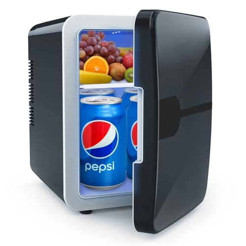 Mini Kühlschrank Tests & Sieger: Mini Kühlschrank 4 Liter 2 in 1...