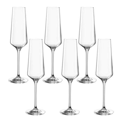 Champagnerglas Test: LEONARDO HOME PUCCINI Sektglas, Glas,...