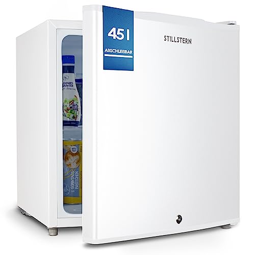 Mini Kühlschrank Test: Stillstern Mini Kühlschrank E 45L mit...