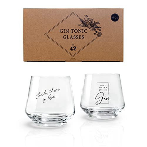 Gin-Glas Tests & Sieger: Gin Tonic Gläser - 2er Geschenkset...