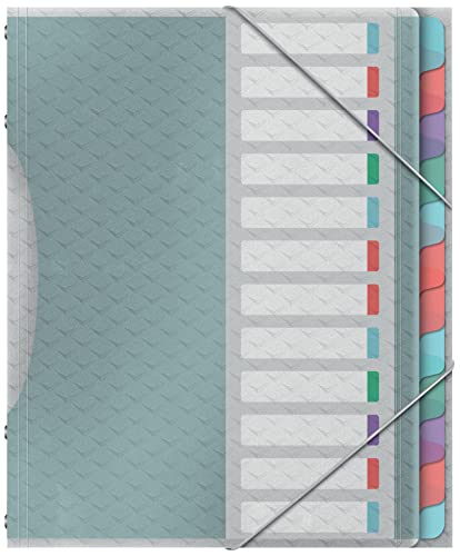 Beste Fächermappe Platz 8: Esselte A4-Projektordner mit 12...