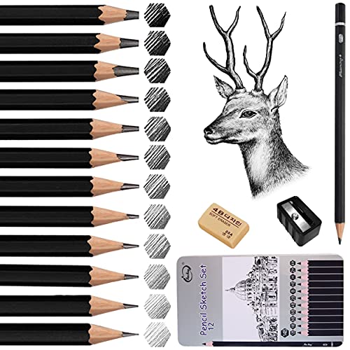 Beste Bleistift Platz 19: Surcotto Bleistift Set, 12...