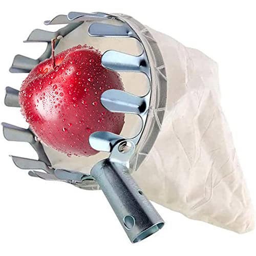 Beste Obstpflücker: ProLeo Erntehelfer Obstpflücker mit Stoffbeutel, Apfelpflücker mit extra dickem baumwollbeutel Landwirtschaftsgartenzubehör Werkzeuge für Apfel Orangen Pfirsichbirne(Ø14 cm)
